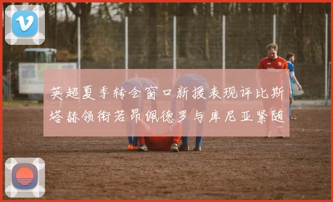 英超夏季转会窗口新援表现评比斯塔赫领衔若昂佩德罗与库尼亚紧随其后