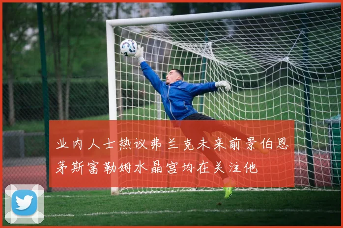 业内人士热议弗兰克未来前景伯恩茅斯富勒姆水晶宫均在关注他