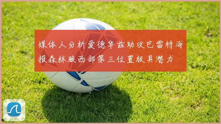 媒体人分析爱德华兹助攻巴雷特海报森林狼西部第三位置极具潜力