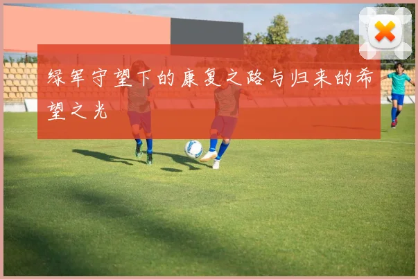 绿军守望下的康复之路与归来的希望之光
