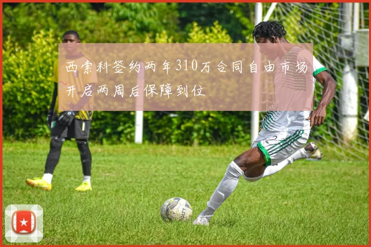 西索科签约两年310万合同自由市场开启两周后保障到位