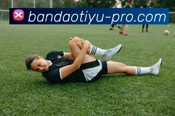 半岛体育平台生态图