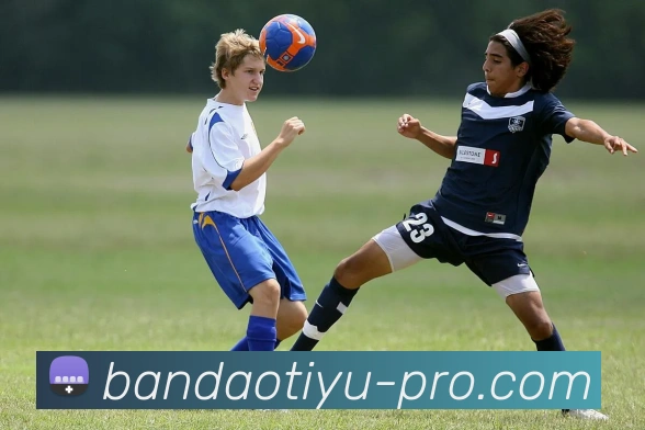 半岛体育全站App